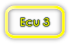 Video et sons ecureuil