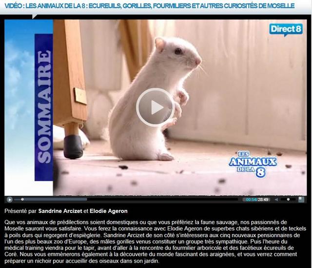 Cliquez pour agrandir l'image